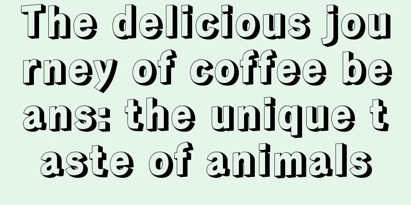 The delicious journey of coffee beans: the unique taste of animals