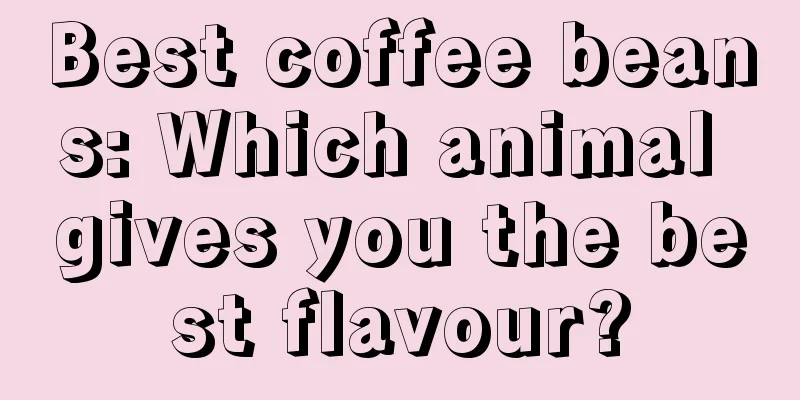 Best coffee beans: Which animal gives you the best flavour?