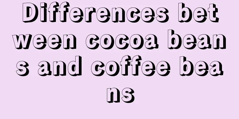 Differences between cocoa beans and coffee beans