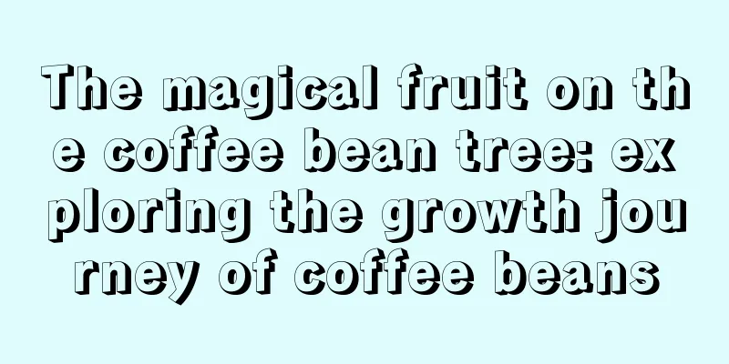 The magical fruit on the coffee bean tree: exploring the growth journey of coffee beans