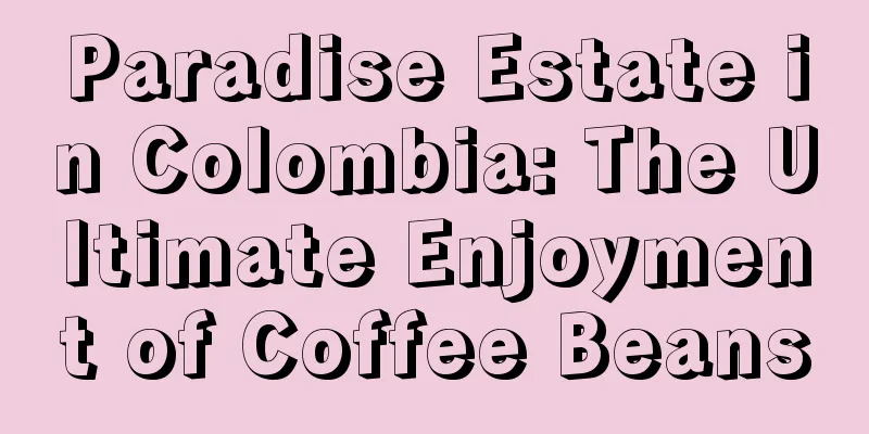 Paradise Estate in Colombia: The Ultimate Enjoyment of Coffee Beans