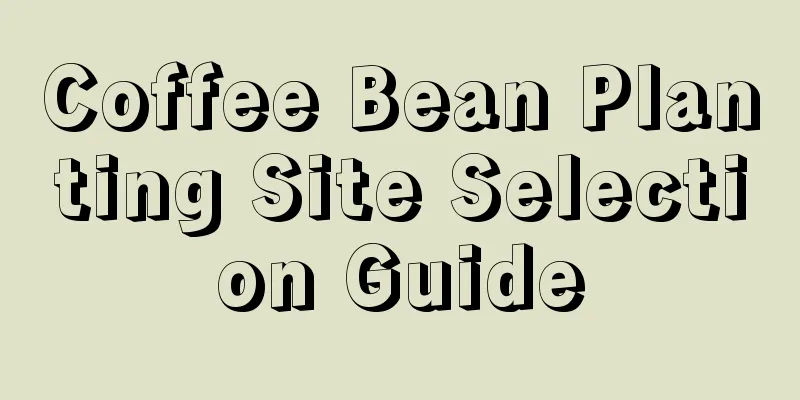 Coffee Bean Planting Site Selection Guide