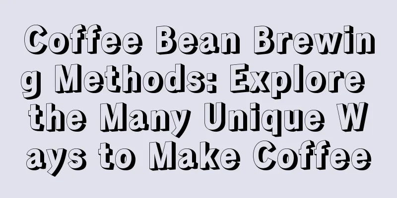 Coffee Bean Brewing Methods: Explore the Many Unique Ways to Make Coffee