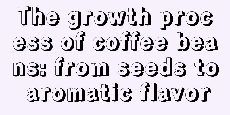 The growth process of coffee beans: from seeds to aromatic flavor