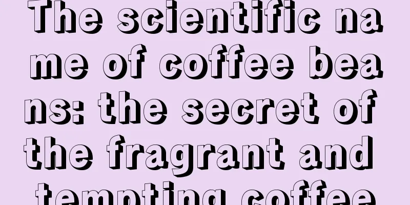 The scientific name of coffee beans: the secret of the fragrant and tempting coffee