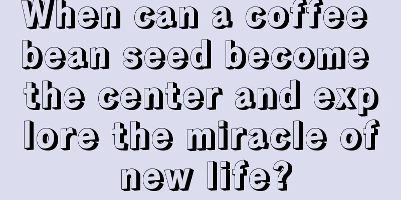 When can a coffee bean seed become the center and explore the miracle of new life?