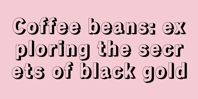 Coffee beans: exploring the secrets of black gold