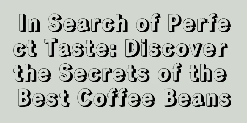 In Search of Perfect Taste: Discover the Secrets of the Best Coffee Beans