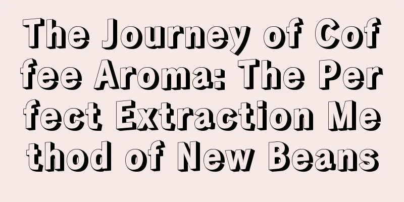 The Journey of Coffee Aroma: The Perfect Extraction Method of New Beans