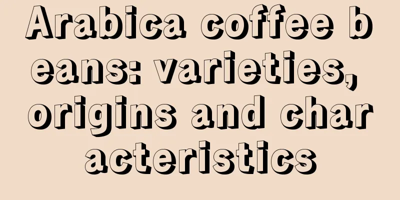 Arabica coffee beans: varieties, origins and characteristics