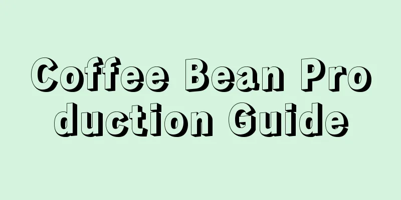 Coffee Bean Production Guide