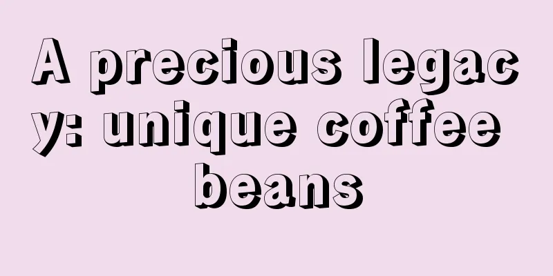 A precious legacy: unique coffee beans