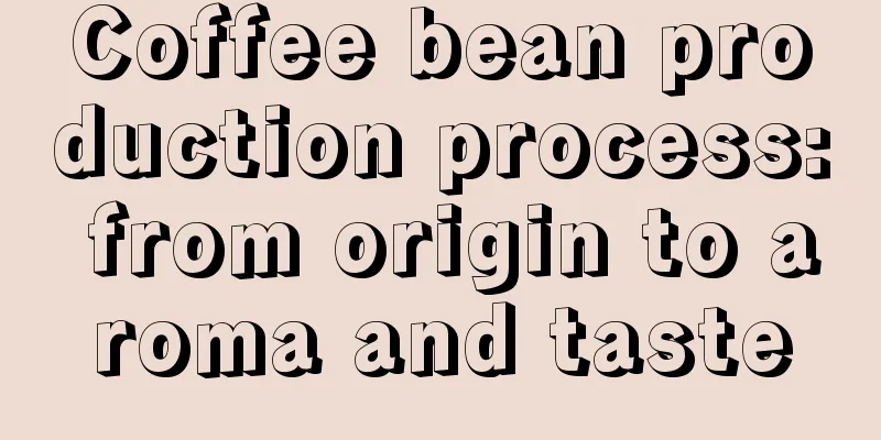 Coffee bean production process: from origin to aroma and taste