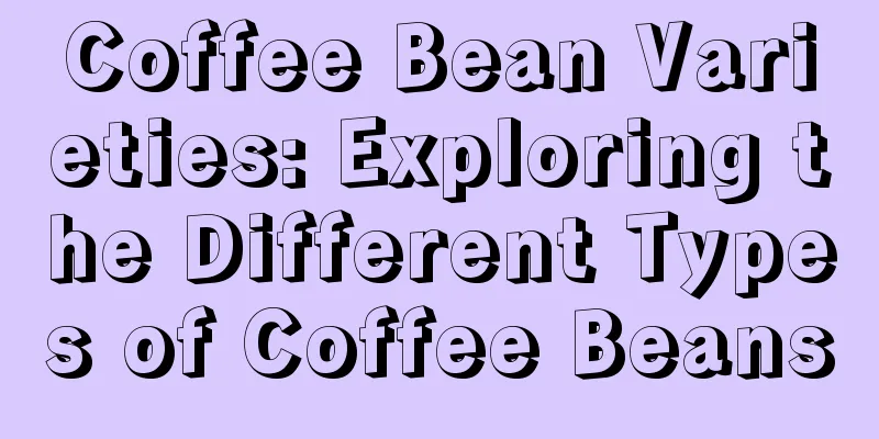 Coffee Bean Varieties: Exploring the Different Types of Coffee Beans