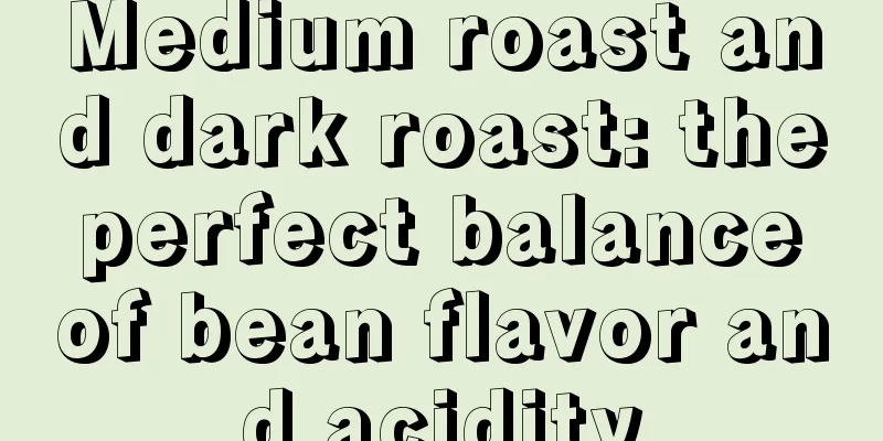 Medium roast and dark roast: the perfect balance of bean flavor and acidity