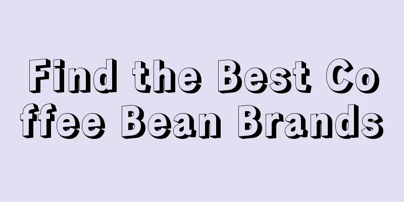 Find the Best Coffee Bean Brands