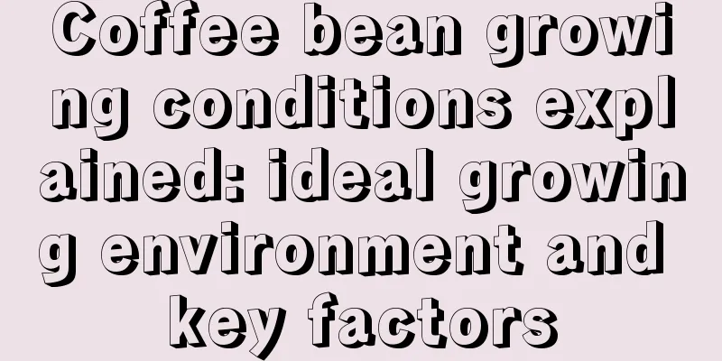 Coffee bean growing conditions explained: ideal growing environment and key factors