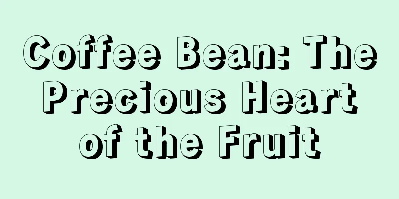 Coffee Bean: The Precious Heart of the Fruit