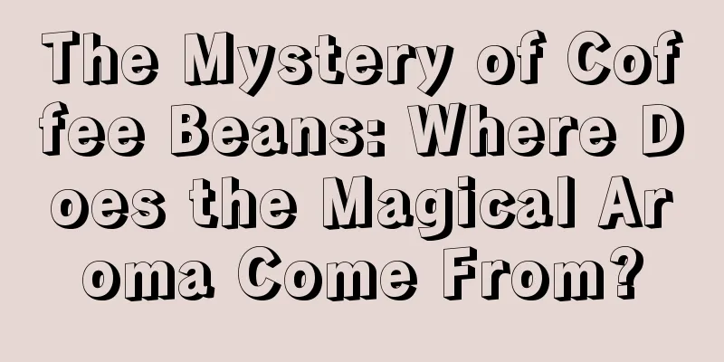 The Mystery of Coffee Beans: Where Does the Magical Aroma Come From?