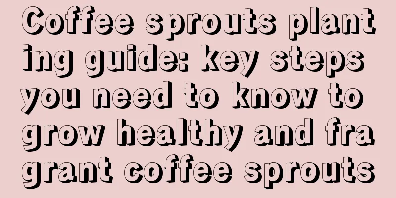 Coffee sprouts planting guide: key steps you need to know to grow healthy and fragrant coffee sprouts