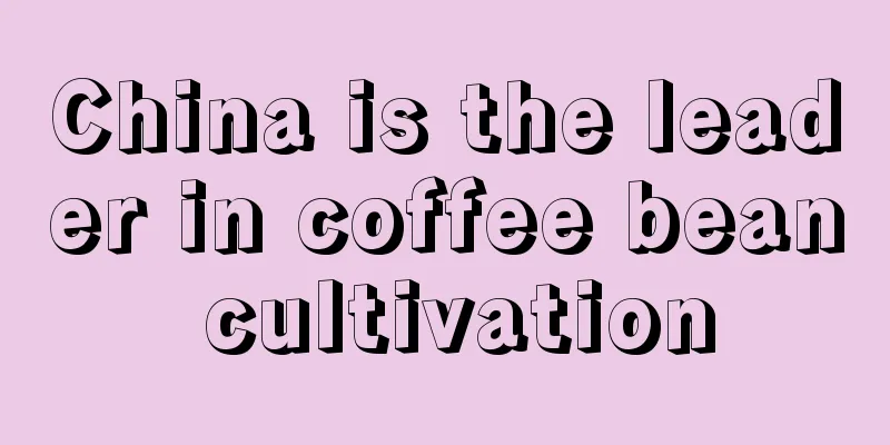 China is the leader in coffee bean cultivation