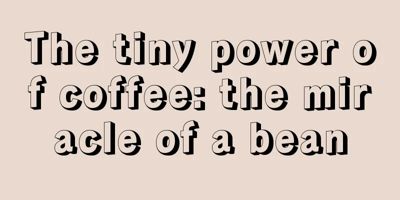 The tiny power of coffee: the miracle of a bean