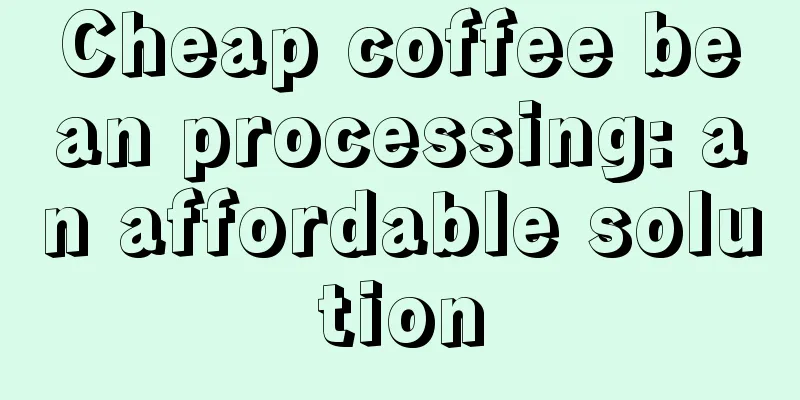 Cheap coffee bean processing: an affordable solution