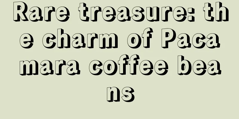 Rare treasure: the charm of Pacamara coffee beans