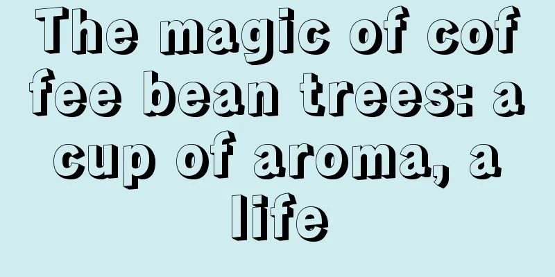 The magic of coffee bean trees: a cup of aroma, a life