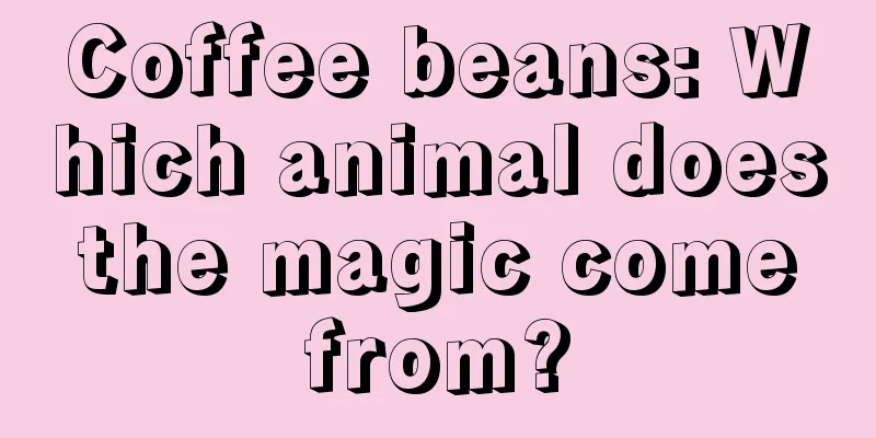 Coffee beans: Which animal does the magic come from?