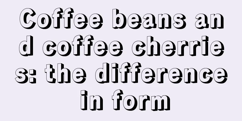 Coffee beans and coffee cherries: the difference in form