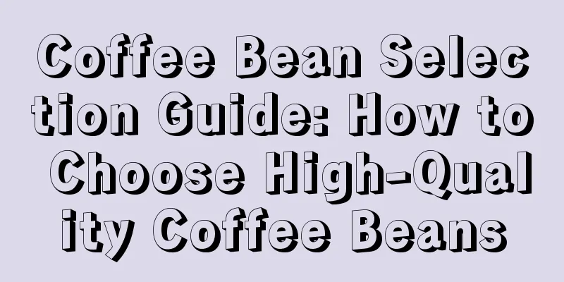 Coffee Bean Selection Guide: How to Choose High-Quality Coffee Beans