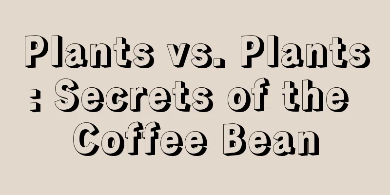 Plants vs. Plants: Secrets of the Coffee Bean