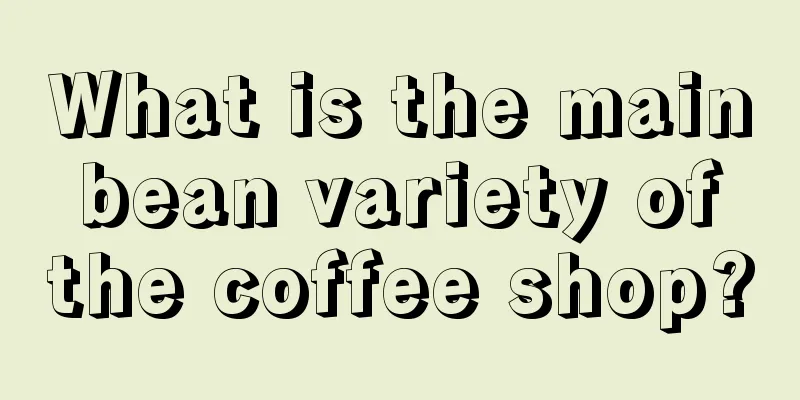 What is the main bean variety of the coffee shop?