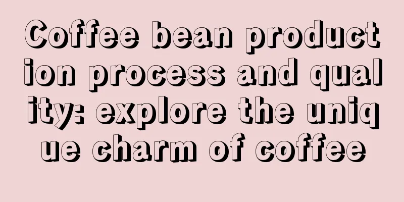 Coffee bean production process and quality: explore the unique charm of coffee