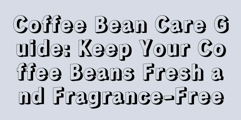 Coffee Bean Care Guide: Keep Your Coffee Beans Fresh and Fragrance-Free