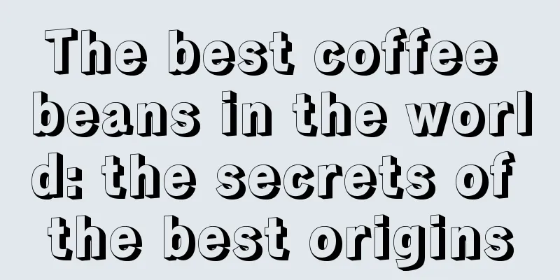 The best coffee beans in the world: the secrets of the best origins