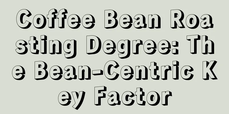 Coffee Bean Roasting Degree: The Bean-Centric Key Factor