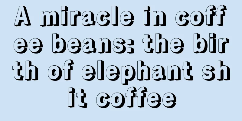 A miracle in coffee beans: the birth of elephant shit coffee