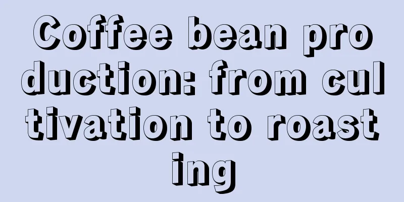 Coffee bean production: from cultivation to roasting