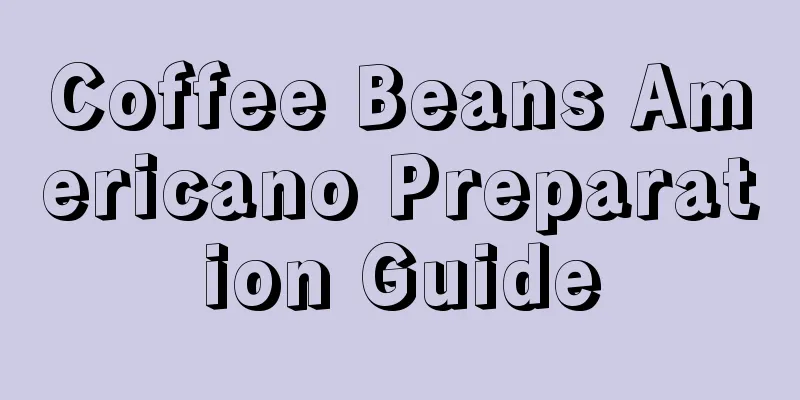 Coffee Beans Americano Preparation Guide