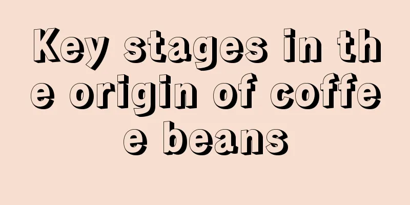 Key stages in the origin of coffee beans