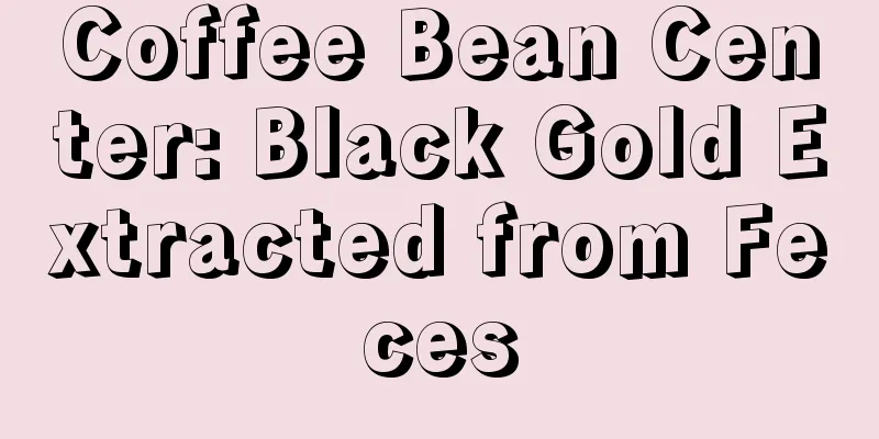 Coffee Bean Center: Black Gold Extracted from Feces