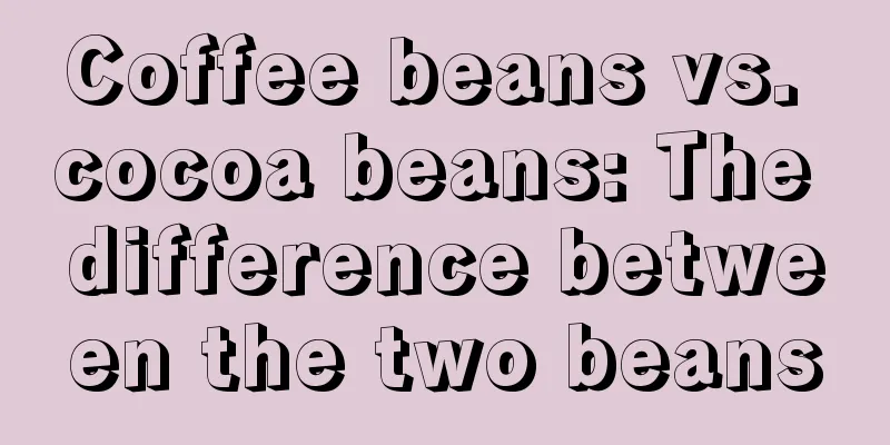 Coffee beans vs. cocoa beans: The difference between the two beans