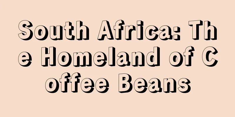 South Africa: The Homeland of Coffee Beans