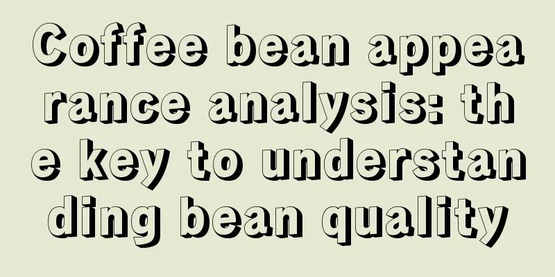 Coffee bean appearance analysis: the key to understanding bean quality