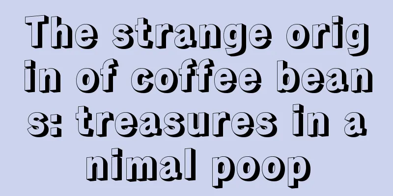 The strange origin of coffee beans: treasures in animal poop