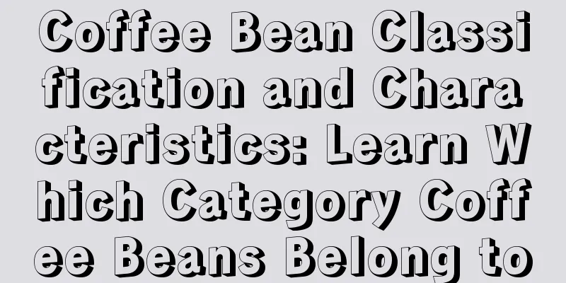 Coffee Bean Classification and Characteristics: Learn Which Category Coffee Beans Belong to