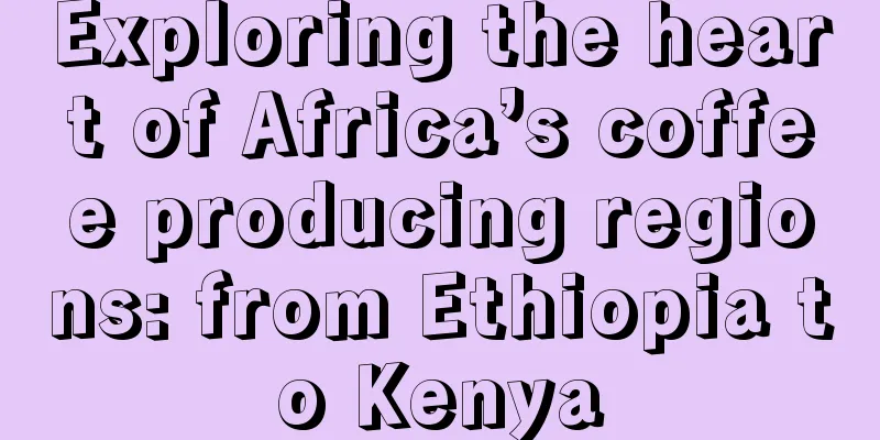 Exploring the heart of Africa’s coffee producing regions: from Ethiopia to Kenya