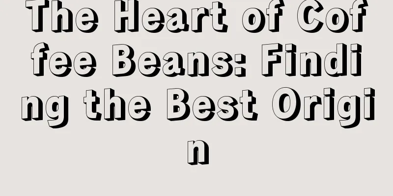 The Heart of Coffee Beans: Finding the Best Origin